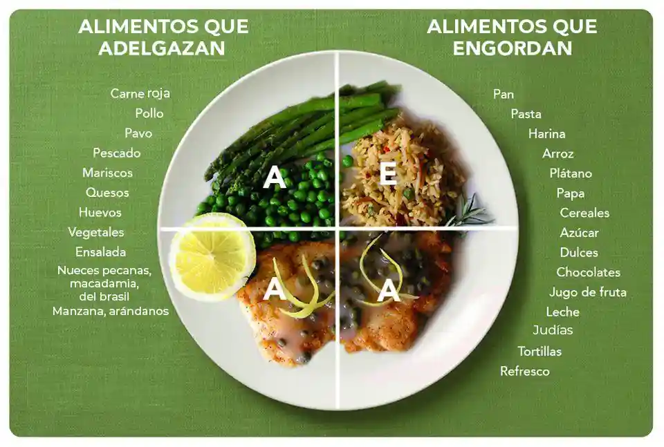 Plato alimentos proporción de alimentos Esto es una garantía de que será más sencillo mantener a raya los picos glucémicos postprandiales después de comer. Una alimentación con exceso de alimentos tipo E, aparte de ser causa de obesidad, que en el caso de la diabetes es muy mala, también provoca también mucho descontrol y dispara los niveles de azúcar en sangre.
