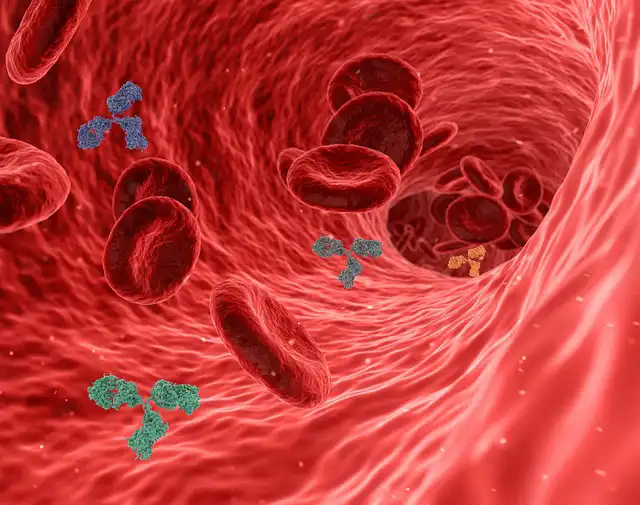 virus-5741636_640
